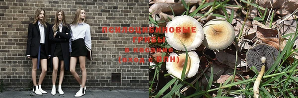марки lsd Белоозёрский