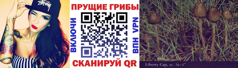 кракен как войти  Томари  это какой сайт  Галлюциногенные грибы мухоморы 
